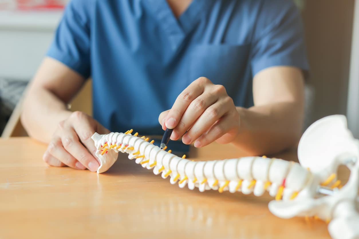 close up physical therapist hand pointing on human skeleton at middle back to advise and consult to patient to treatment at office for healthcare and telemedicine concept